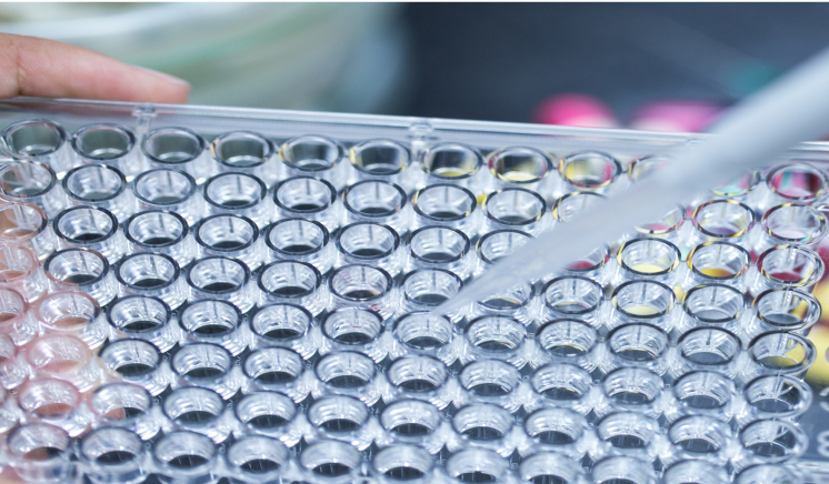 モリナガ加熱処理牛由来タンパク質検出キットVer.2｜株式会社森永生